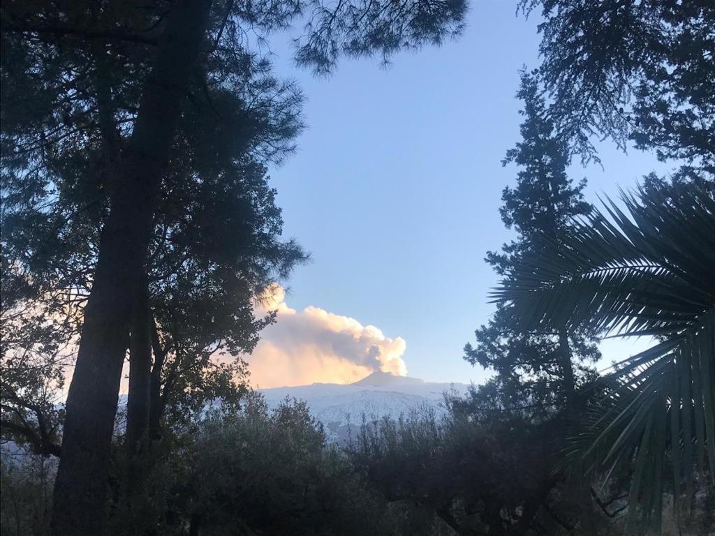 Agriturismo Sole Di Sicilia Randazzo Ngoại thất bức ảnh
